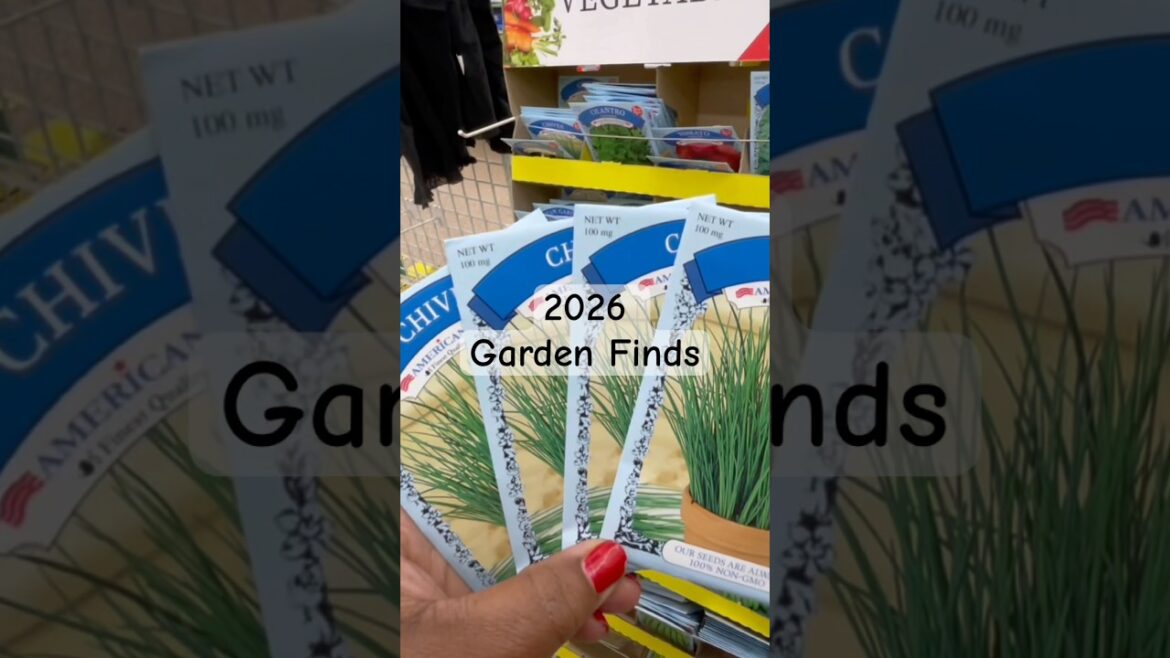 👩‍🌾 2026 Dollar Tree Garden Supplies are Here! #gardening  #dollartree #ocdishchick