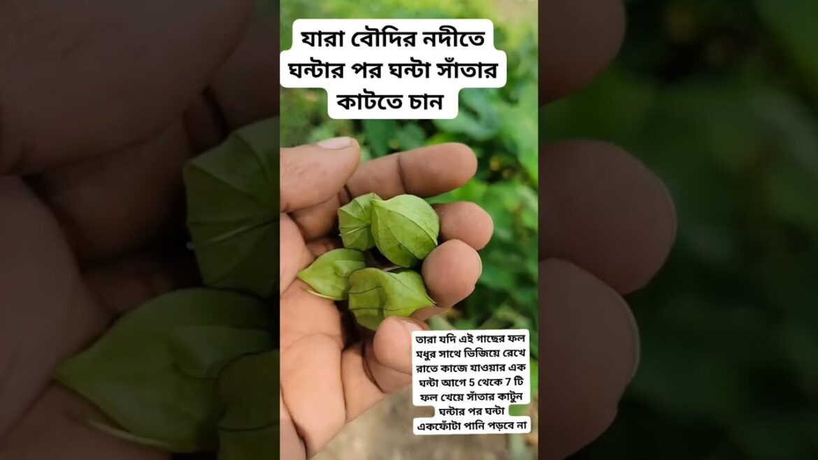 পটকা #birds #birds #vairlvlogs #fashion #trends #motivation #vairlvidoe #natural #trendingshorts #yt