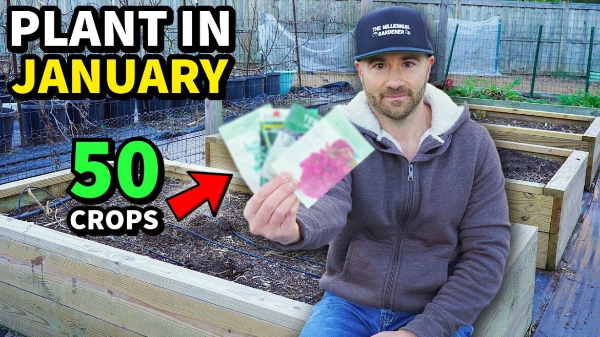 DON’T WAIT! Plant These 50 Awesome Crops In JANUARY NOW! DON'T WAIT! Plant These 50 Awesome Crops In JANUARY NOW!