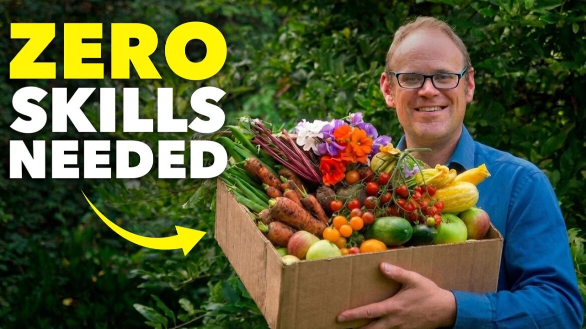 The Lazy Gardener's Best Vegetables to Grow in 2026