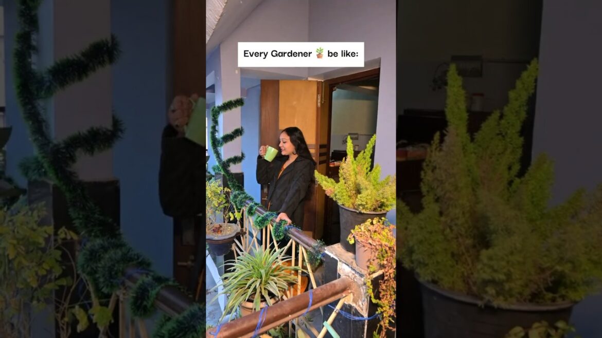 My daily routine❌️🌿#plants #garden #gardening #houseplants