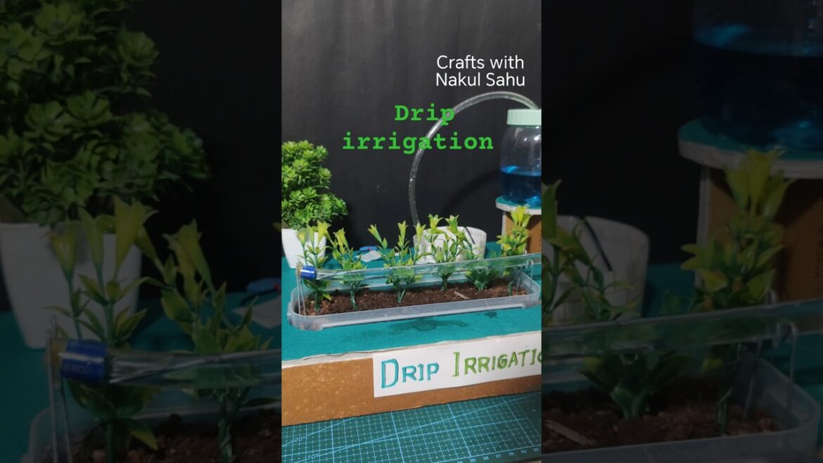 Drip irrigation working model for school #dripirrigation #agriculture #youtubeshorts