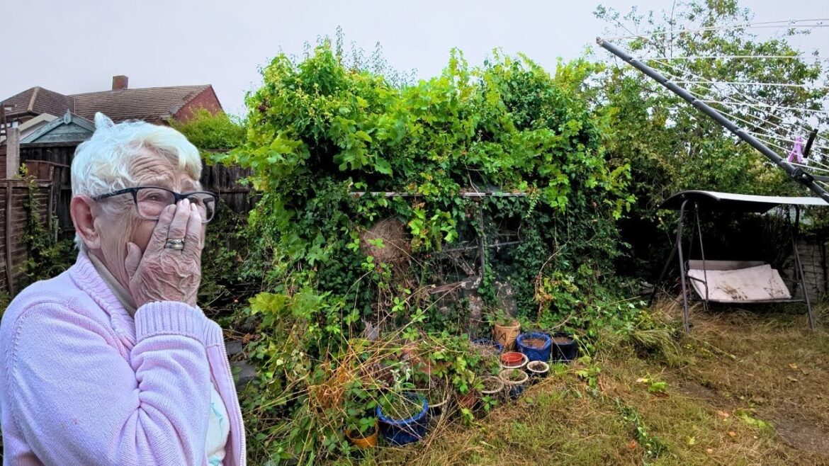 She Was Quoted £900, Then We Found ASBESTOS... The Final Price Made Her CRY