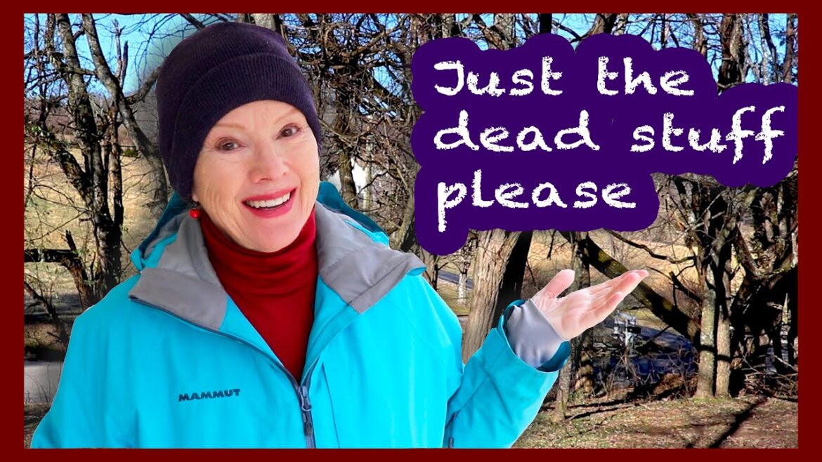 MEN doing HARD JOBS (Watch this ACROBAT!) #treetrimming