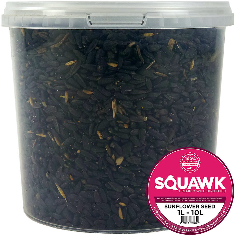 Black Oil Sunflower Seeds