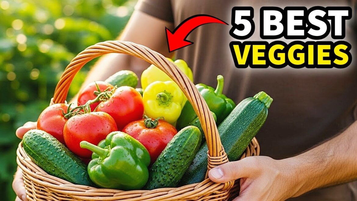 The 5 Most Productive Veggies I've EVER Grown!