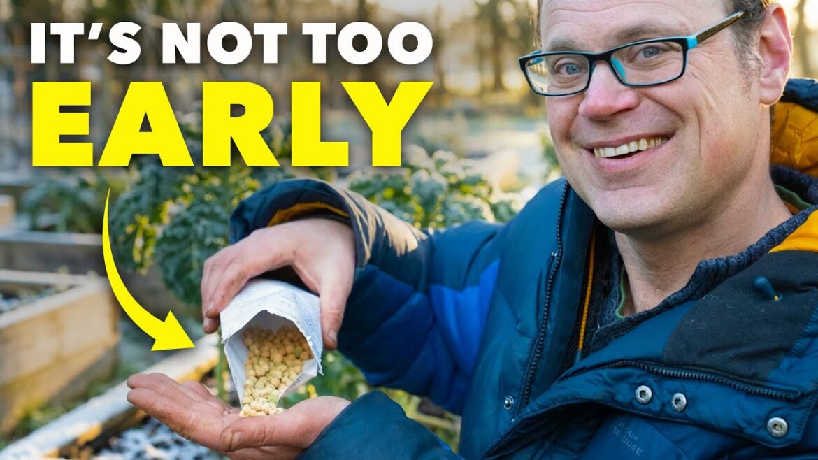 Smart Gardeners Sow These Seeds in February Smart Gardeners Sow These Seeds in February