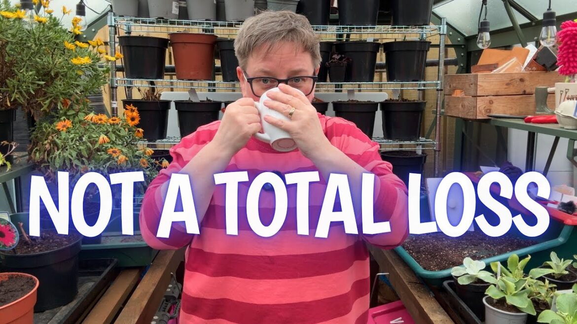 The weather won… so I'm retreating to the greenhouse