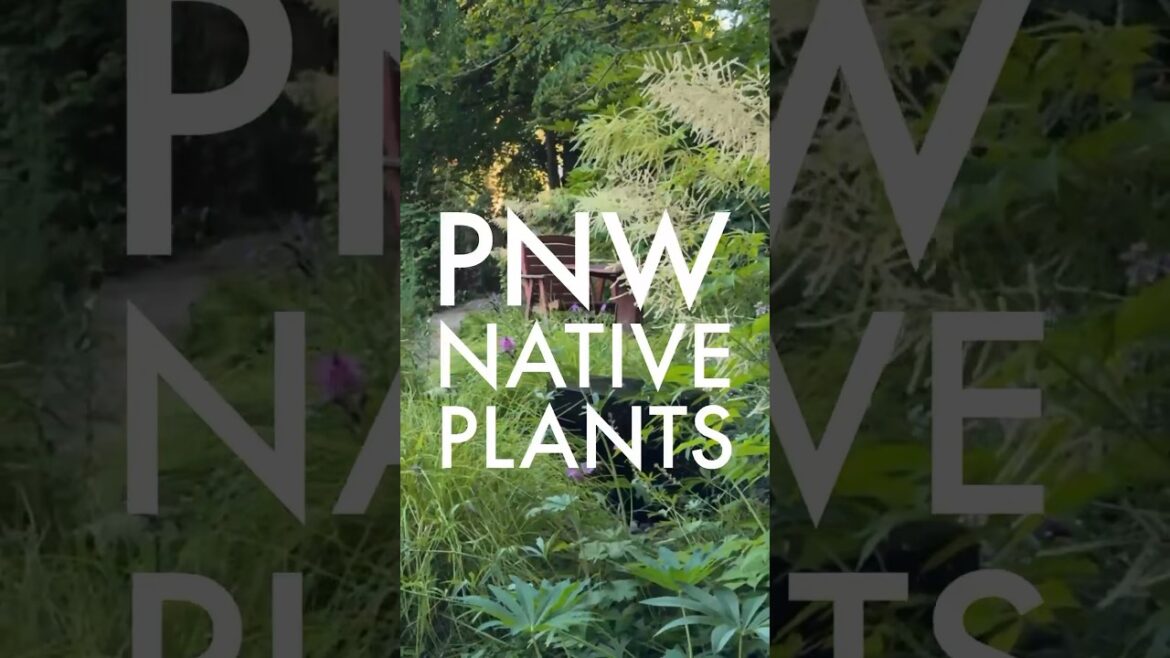 Pacific Northwest Native Plant Garden Tour. Watch the full tour. #gardendesign #nativeplants #lupine