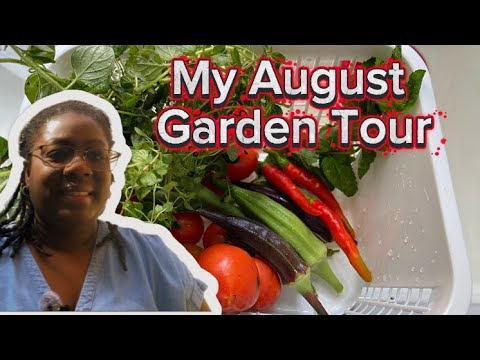 August Patio Container Garden Tour | Harvest & Transition to Fall Gardening August Patio Container Garden Tour | Harvest & Transition to Fall Gardening