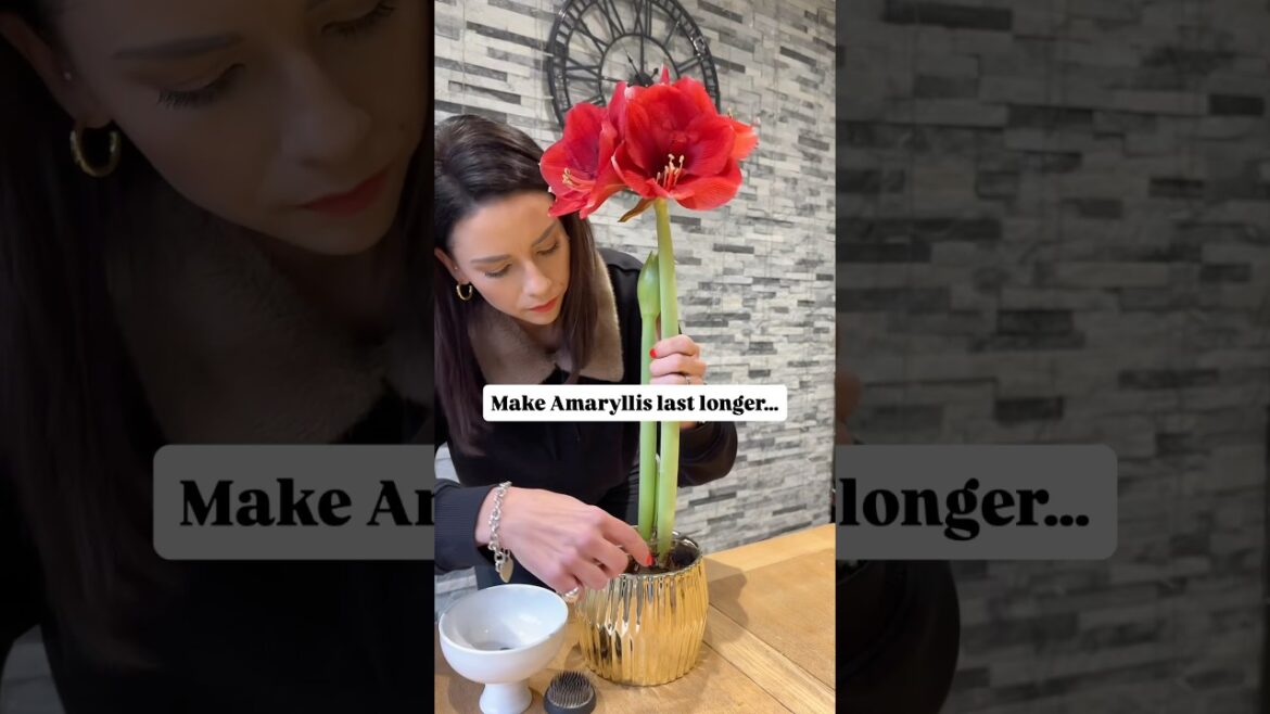 Make them last longer… #garden #gardeningtips #flowers #plants