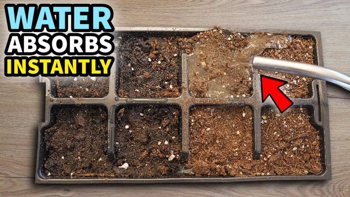 How To INSTANTLY Hydrate Stubborn Potting Soil