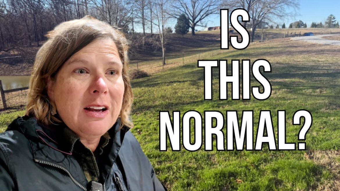 I’ve Never Seen This on the Farm Before?