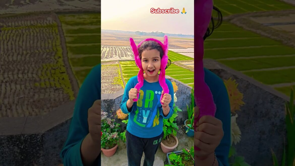 Na na na meri #garden #gardening #flowers #nursery #UpdateGardening #chadbagan Na na na meri #garden #gardening #flowers #nursery #UpdateGardening #chadbagan