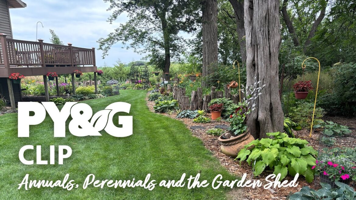 Annuals, Perennials and the Garden Shed | 60 Years of Garden Tips | Prairie Yard & Garden 3813