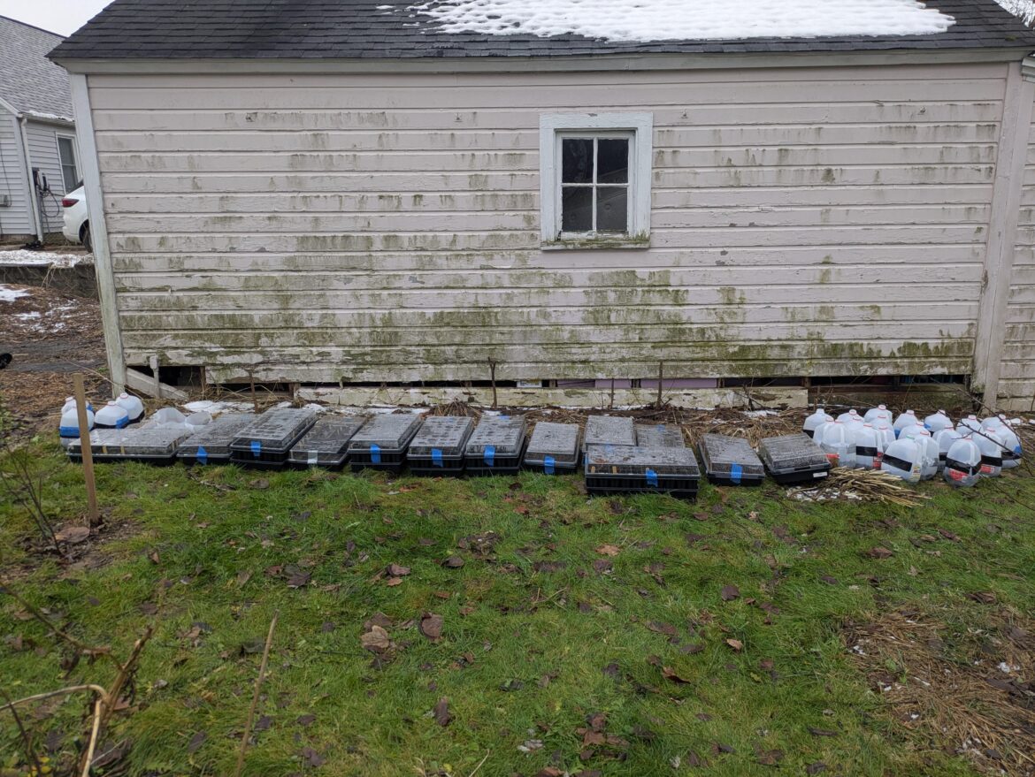 Winter Sowing