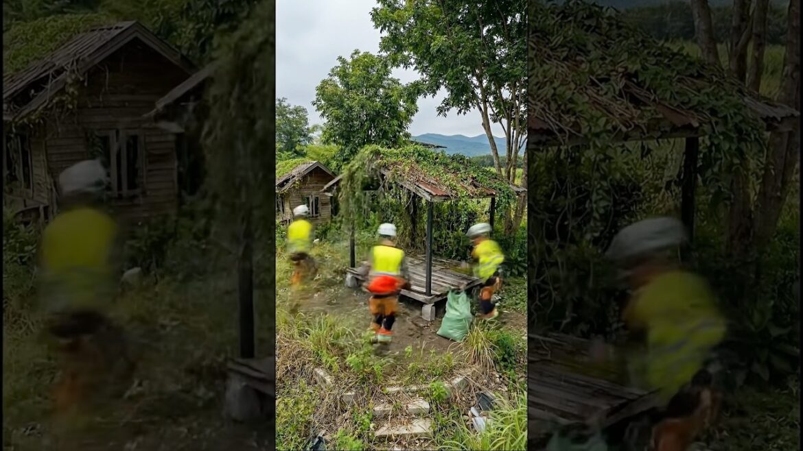 Worst Backyard I've Seen Turned Into This #transformation #garden #outdoor