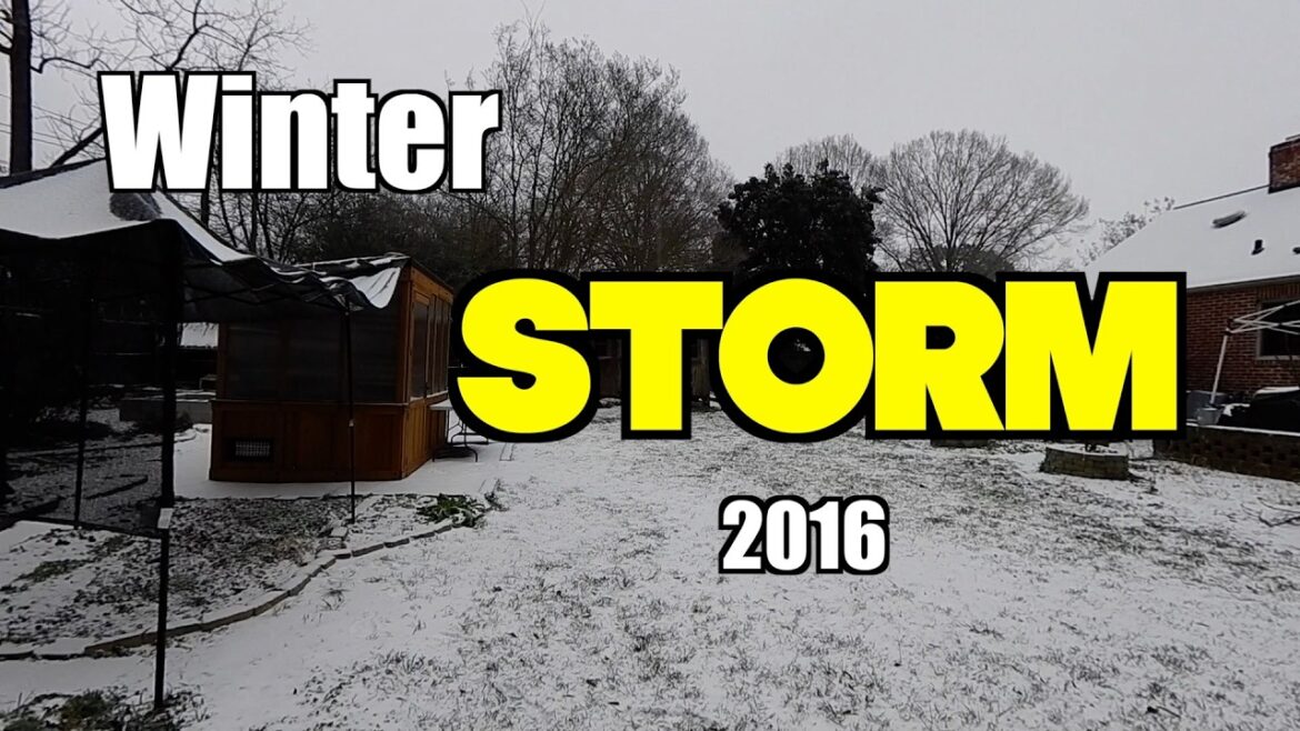 Did Our Garden, Greenhouse and Chickens Survive Winter Storm Fern?