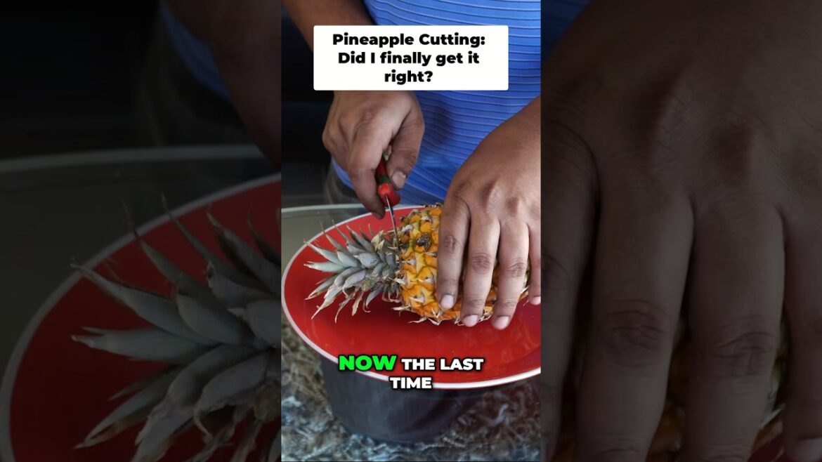 Grading my Pineapple skills... how’d I do? 🤔