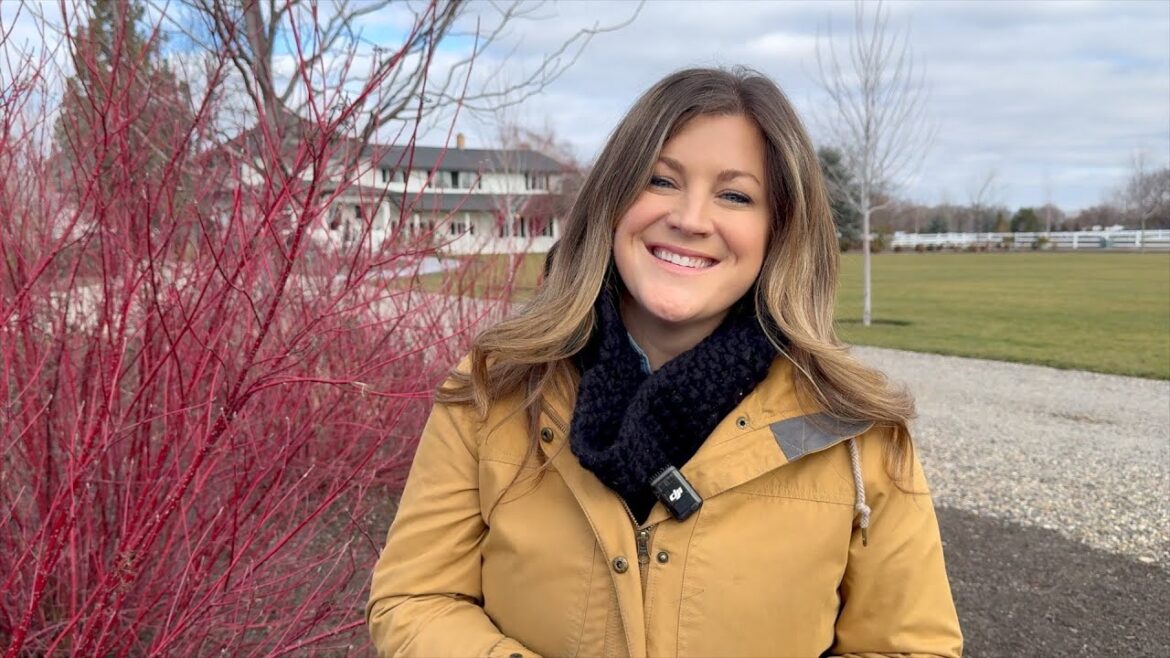 10 Beautiful Plants in Our Garden in January! 🌲🌾🥀 // Garden Answer