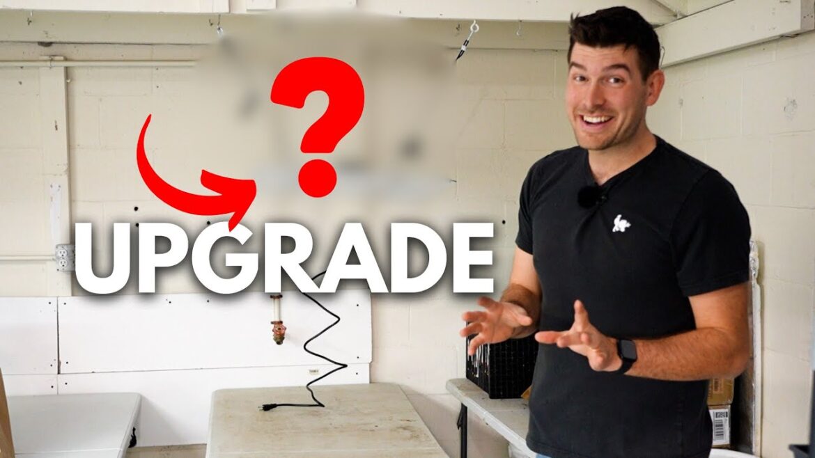 MIgardener: BIG HUGE Changes to Our Grow Room BIG HUGE Changes to Our Grow Room