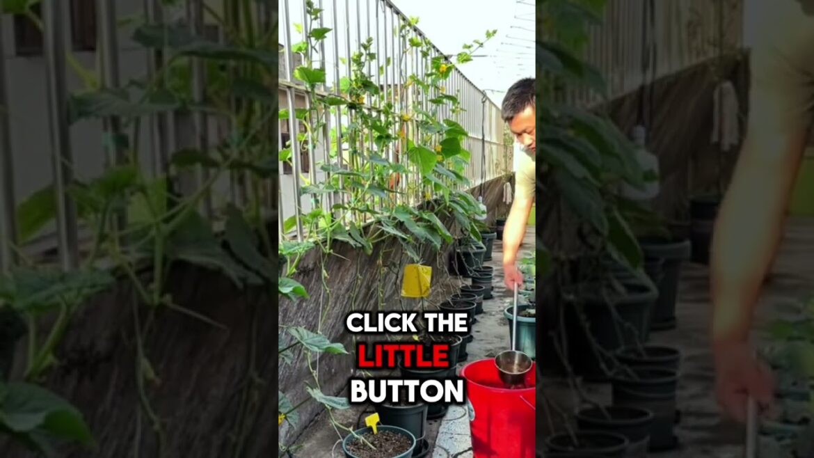 Important Garden Tips #garden #lifeisbutadream #gardening