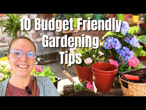 ๐ฟ10 Budget-Friendly Gardening Tips for Beginners | Save Money & Grow Your Dream Garden ๐ธ ๐ฟ10 Budget-Friendly Gardening Tips for Beginners | Save Money & Grow Your Dream Garden ๐ธ