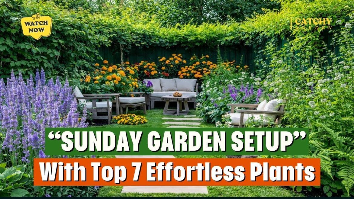 SUNDAY GARDEN SETUP: 7 Best Plants for Effortless Outdoor Beauty! 🌹🌲