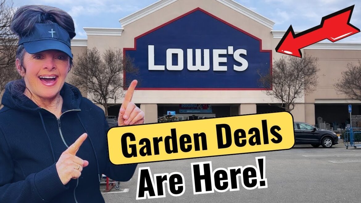 Lowe’s Garden Center Deals | Shop With Me Lowe’s Garden Center Deals | Shop With Me