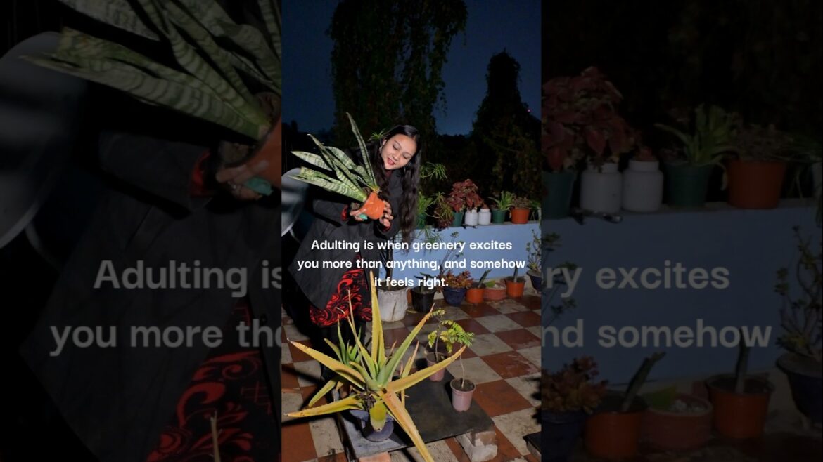 My toxic trait? Loving plants too much♥️🌿#plants #gardening #garden