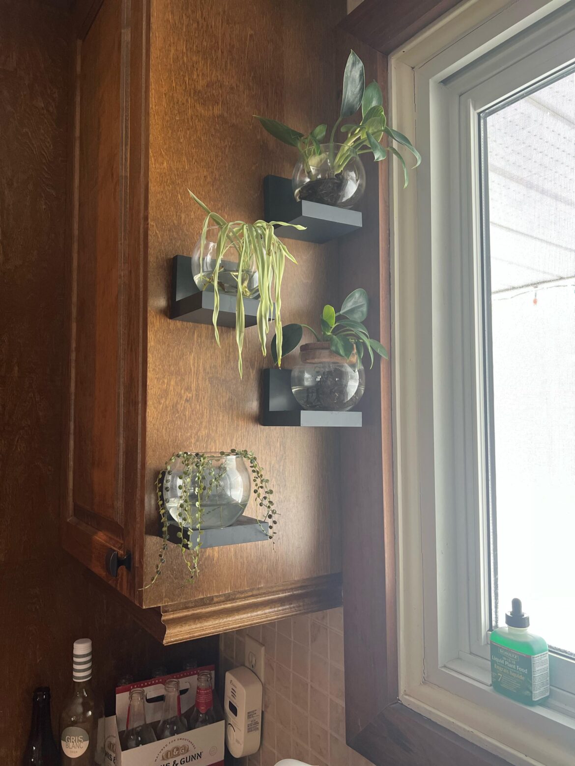 Help these plants thrive