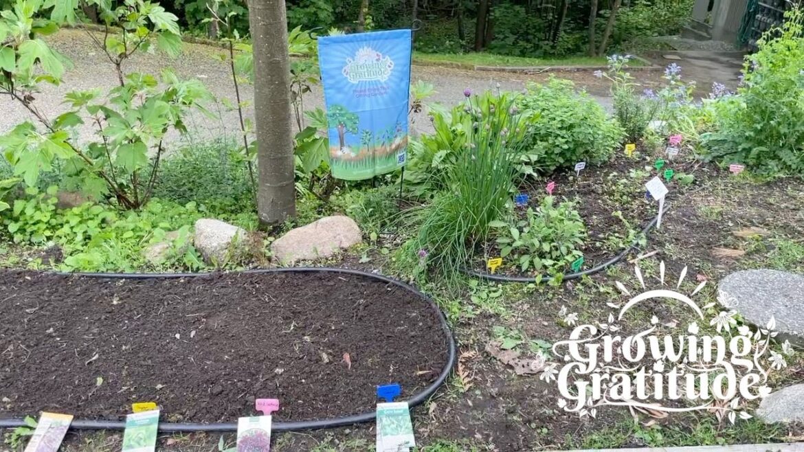 May 2025 Garden Planting & Perennial Herb Update | Growing Gratitude