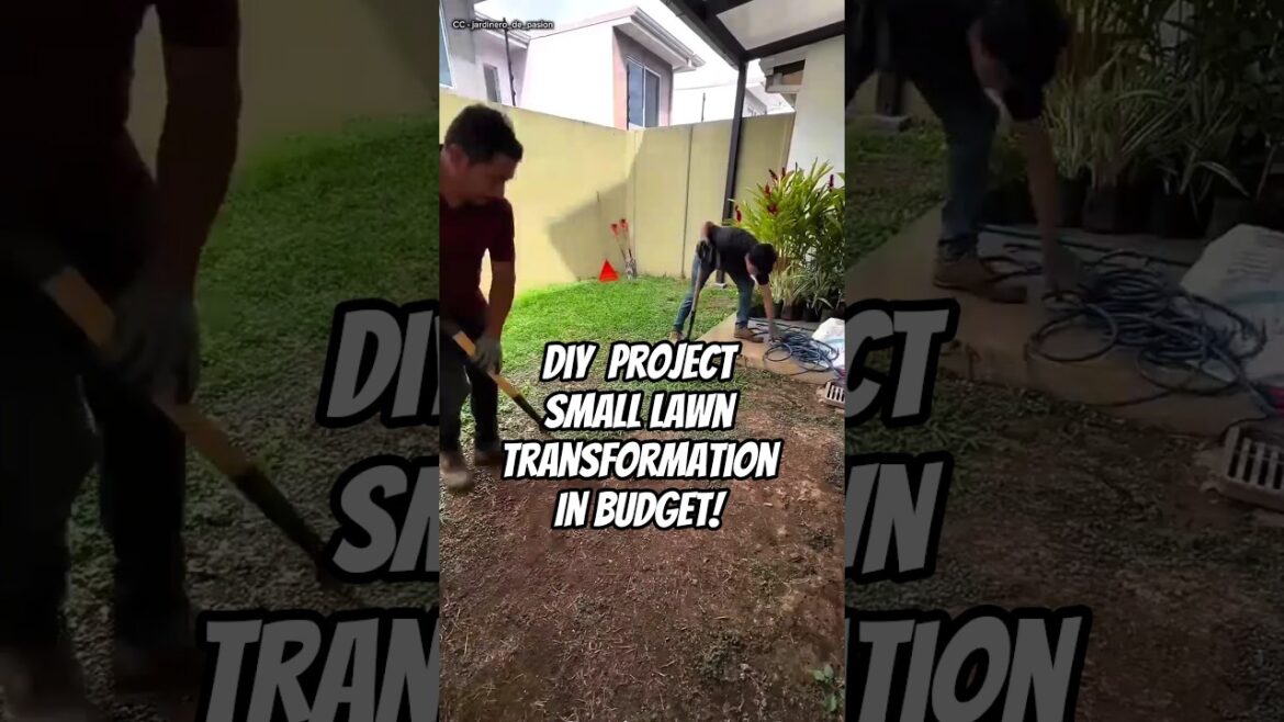 How Proper Lawn Work Transforms a Backyard Completely | Watch Full Transformation ❤