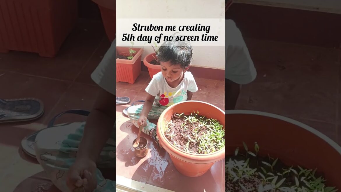 diml, #shorts#viralshorts#momlife #mom