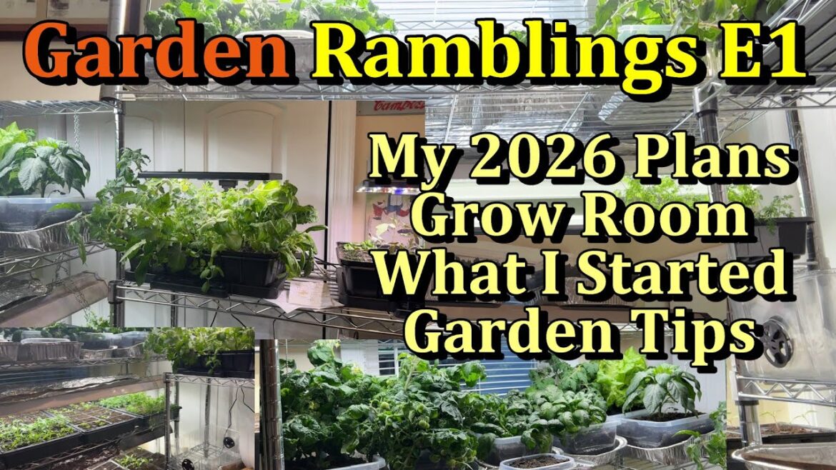 The 2026 Garden Season, What I Am Seed Starting Now, Tour of My Grow Room (Garden Ramblings E1)