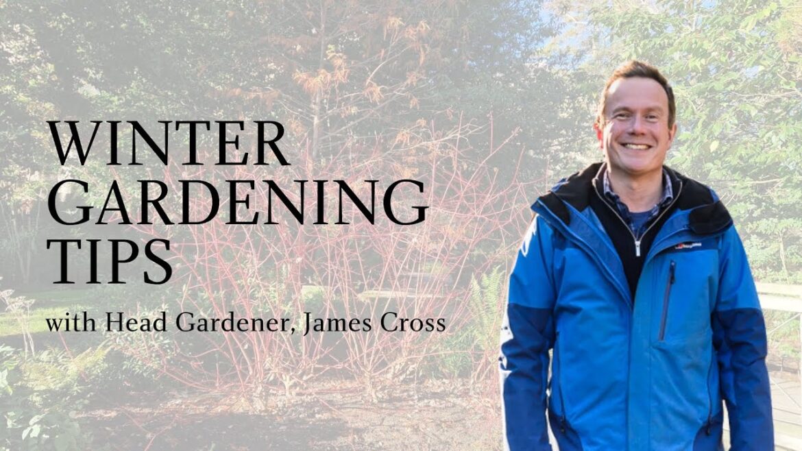 Winter Gardening Tips with Head Gardener, James Cross