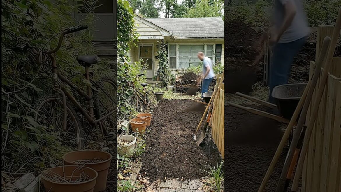 Overgrown Backyard ➜ Vegetable Garden 🌱 | Home Garden Transformation #home #garden #gardening