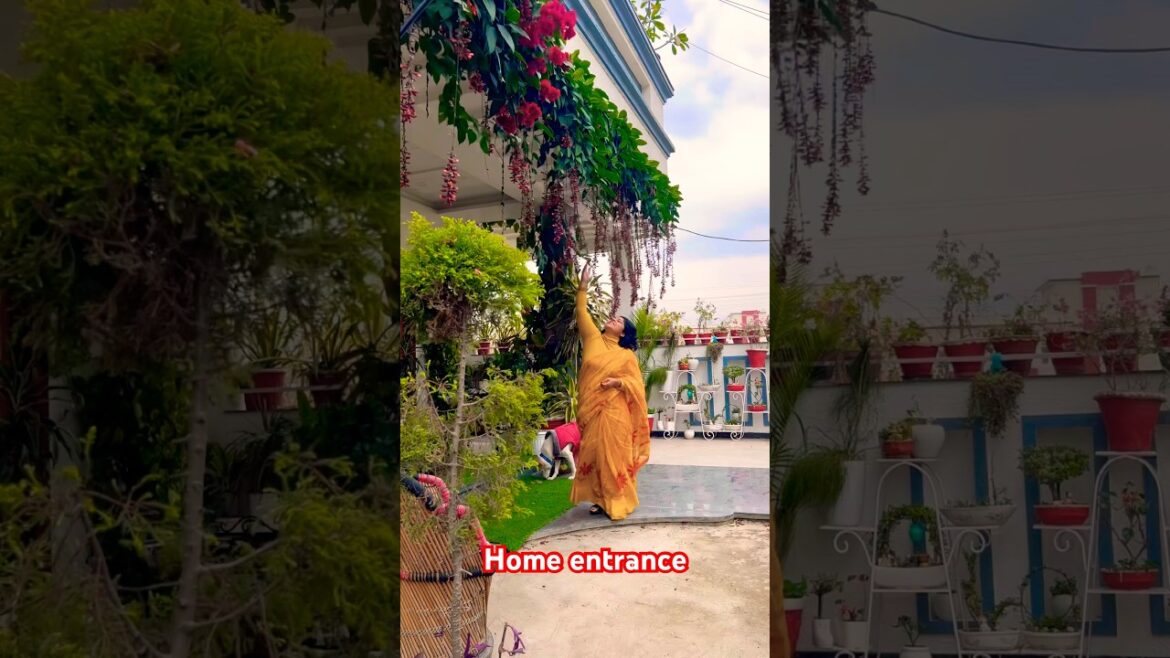 #home #garden #plants #planting #flowers #flowergarden #gardening #shorts