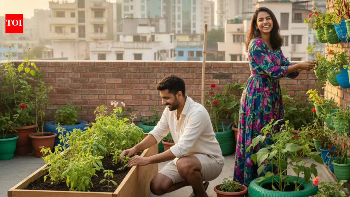 Rooftop gardens root connections – The Times of India Rooftop gardens root connections - The Times of India