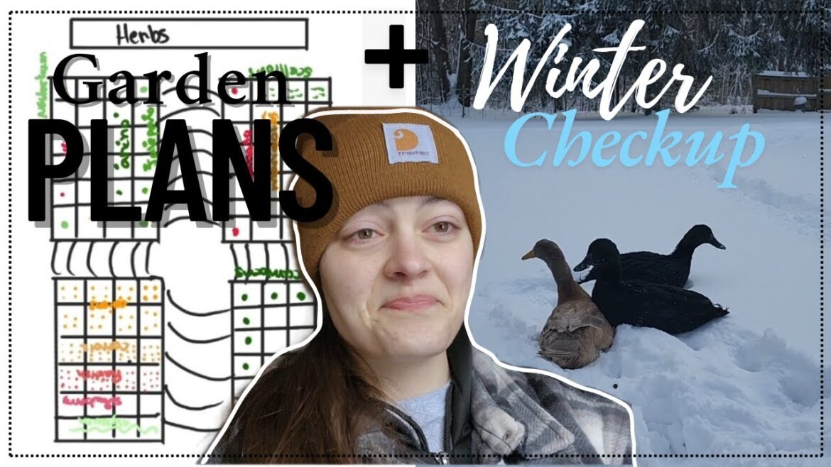 After a Lot of Snow | Checking on the Animals & Plannig the Garden