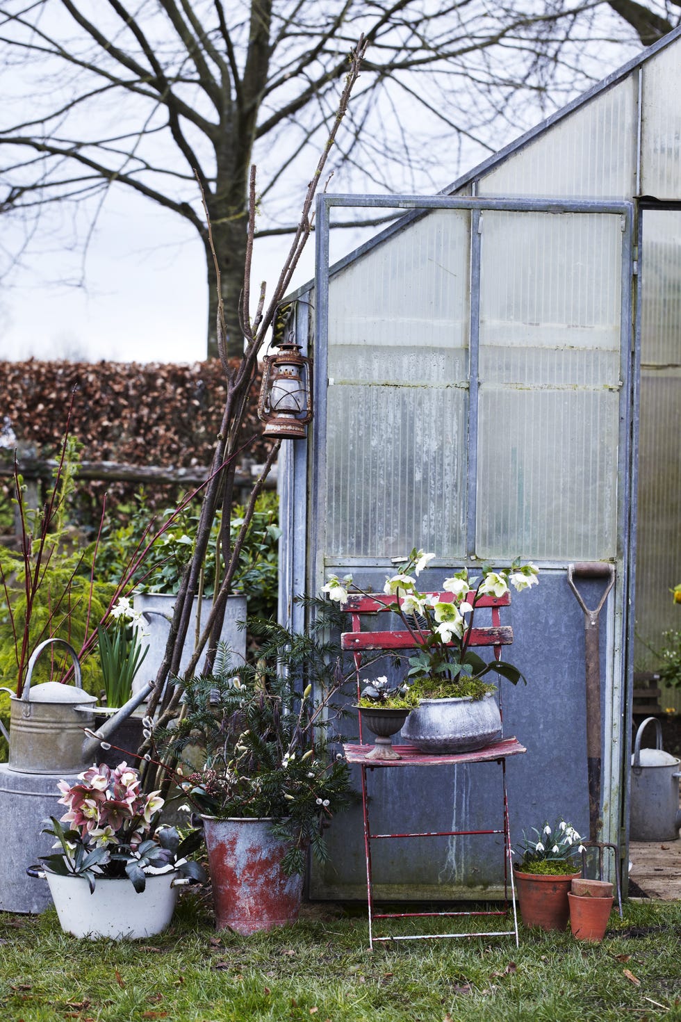 greenhouse in winter