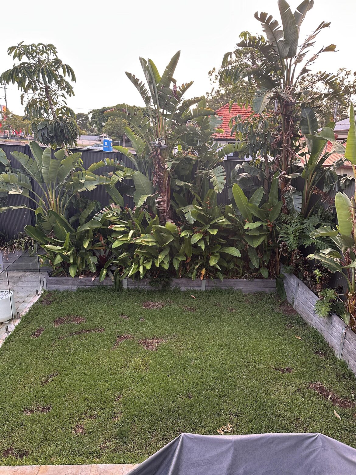 Should I re lay these patches?