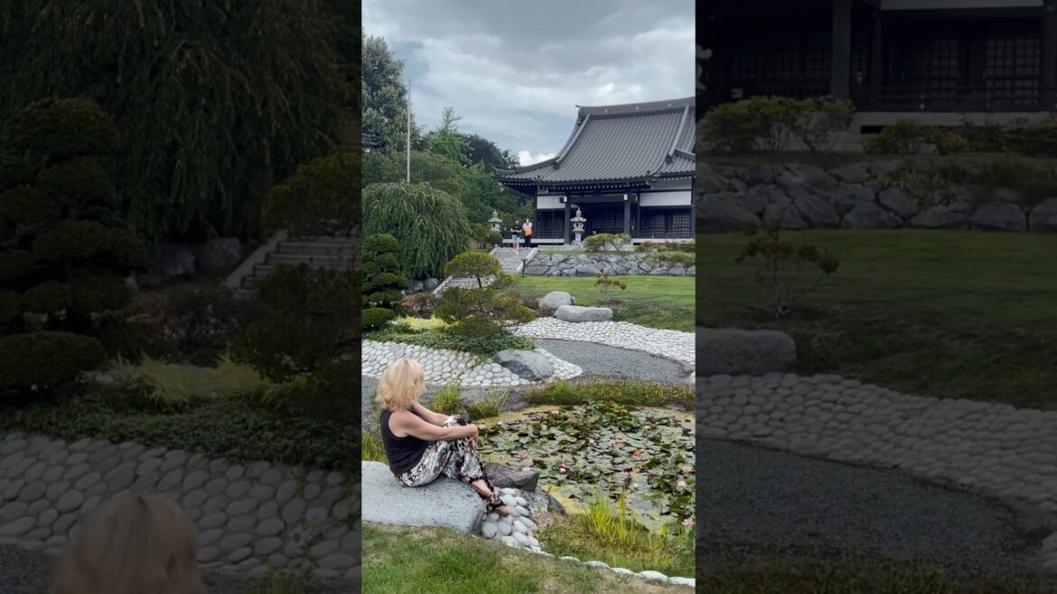 Lost Paradise: Japanese Garden in the Heart of a German City #shorts #japanesegarden #dusseldorf