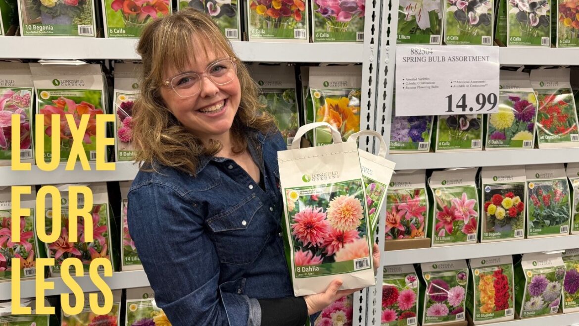 Costco Garden Design: Turning Budget Buys to Elevated Aesthetics ✨