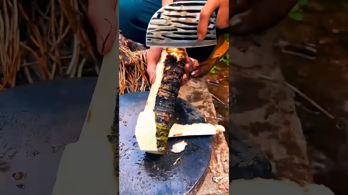 What PARTS of the Taro Plant are EDIBLE?