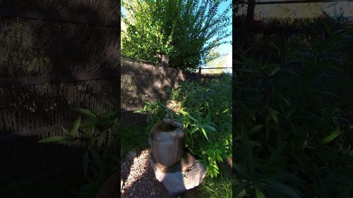 Yume Japanese Gardens is such a relaxing place!