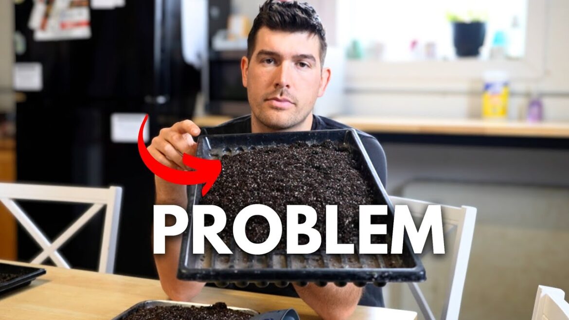 MIgardener: Don’t Start Seeds Without Doing THIS First Don't Start Seeds Without Doing THIS First