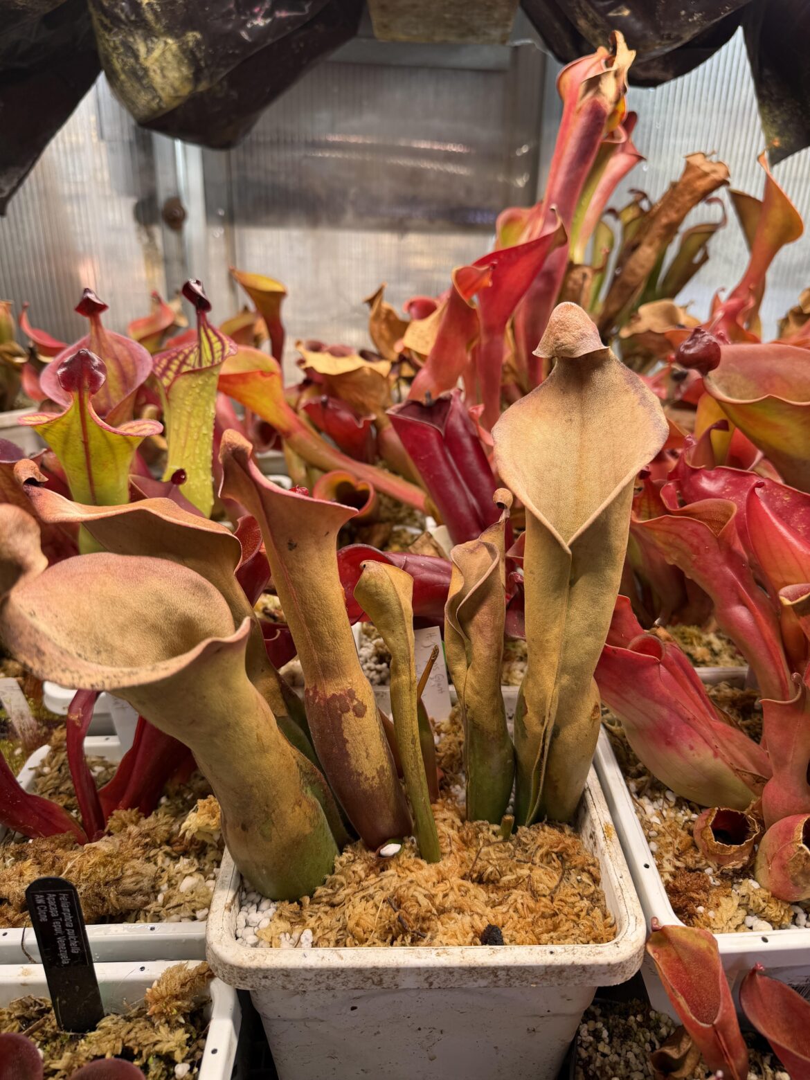 Shipping this time of year is always an adventure.