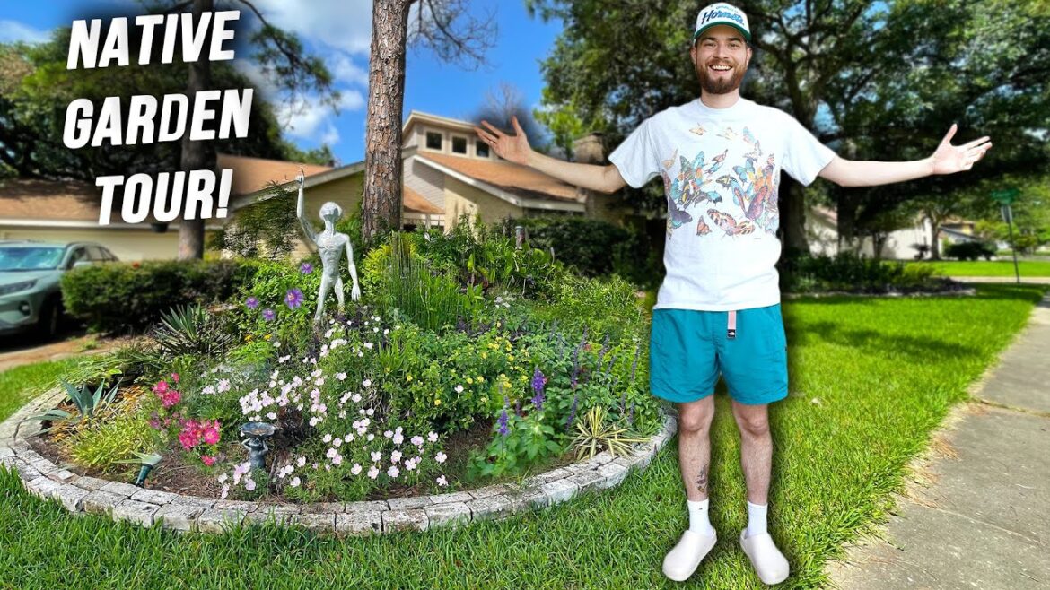 My Native Plant Front Yard Garden Tour! Houston, Texas Zone 9