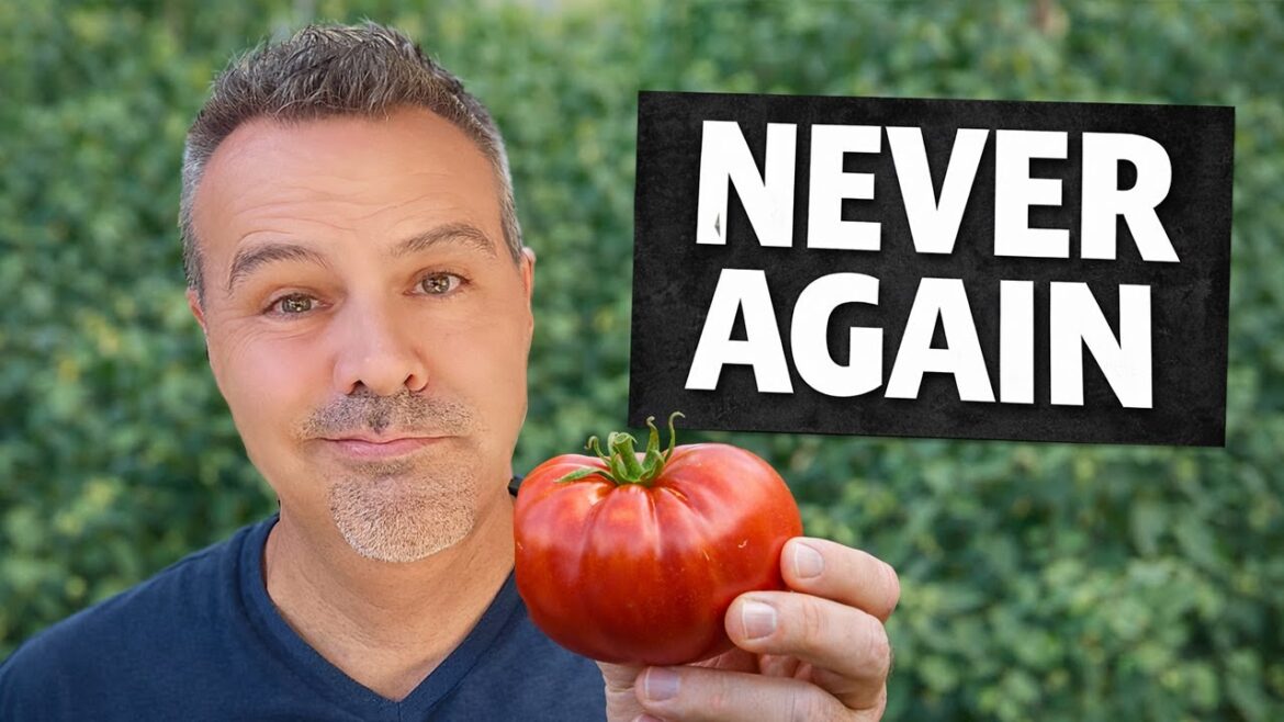 Tomatoes I’m Done Growing (And What I'm Planting Instead)